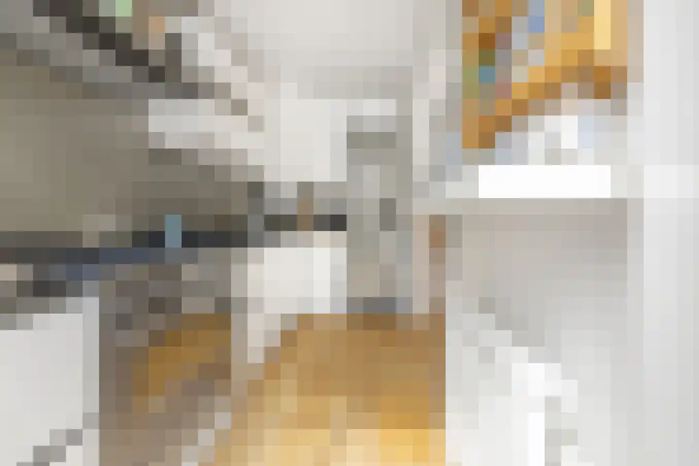 Zwolsestraat 371 Den Haag thumbnail 22
