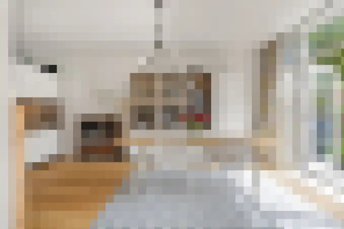 Zwolsestraat 371 Den Haag thumbnail 23