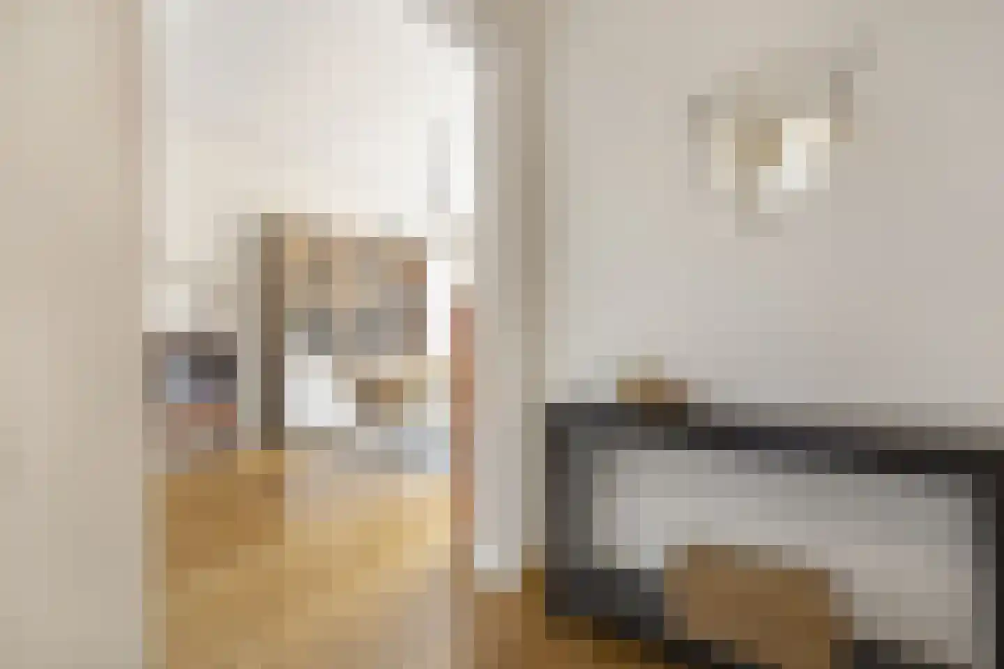 Zwolsestraat 371 Den Haag thumbnail 8