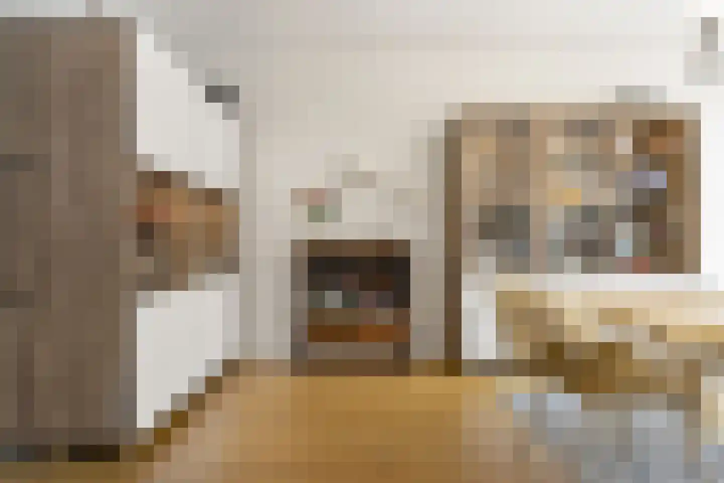 Zwolsestraat 371 Den Haag thumbnail 9