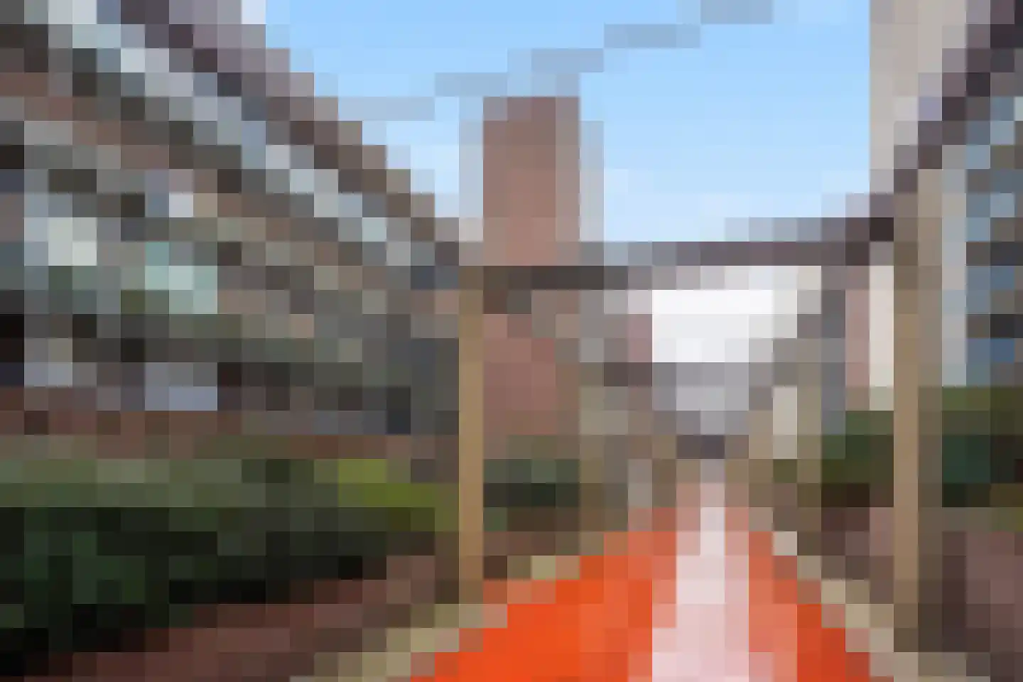 Zwolsestraat 390 Den Haag thumbnail 7