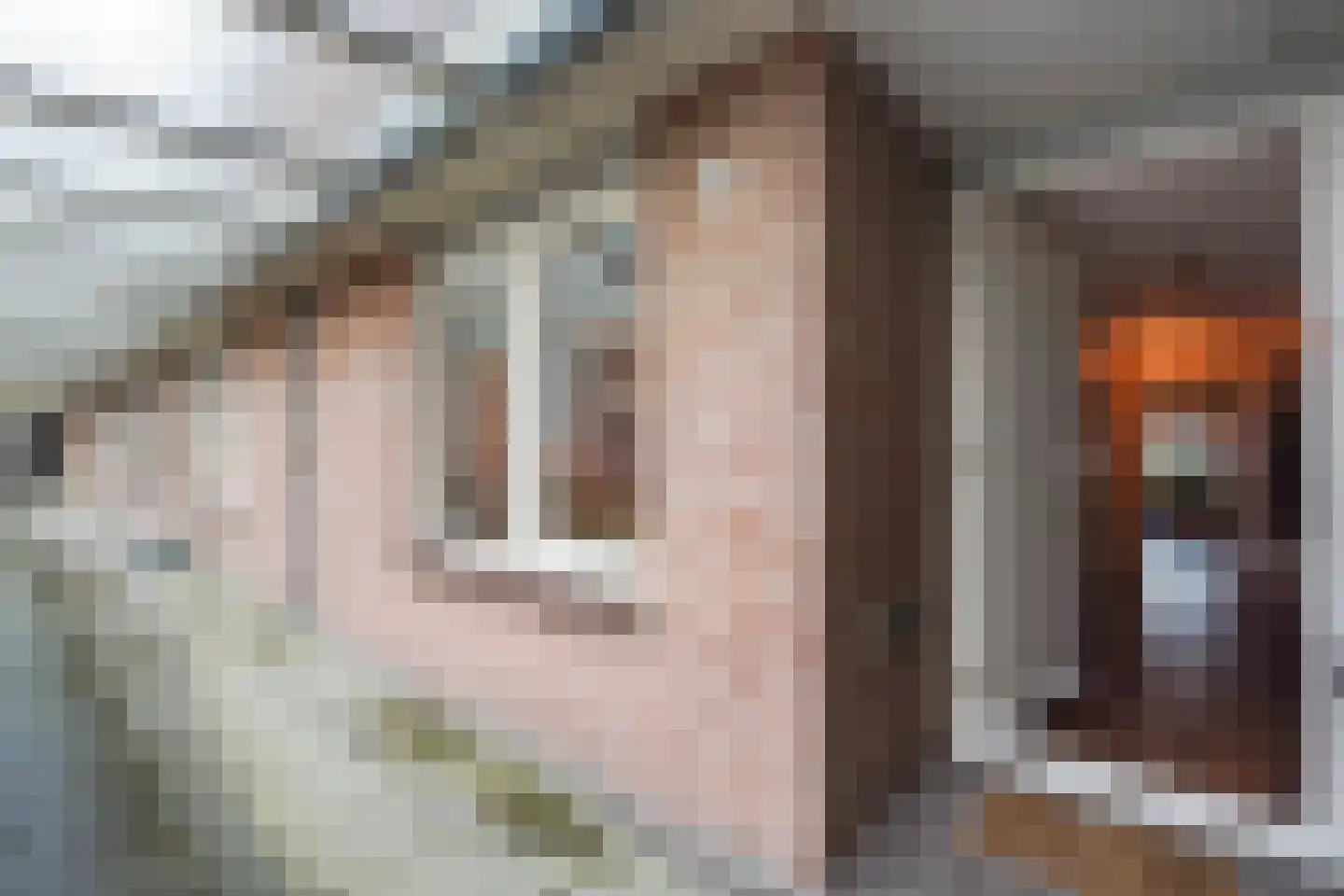 Zwolsestraat 390 Den Haag thumbnail 9