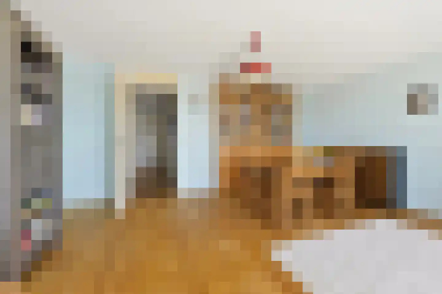Zwolsestraat 404 Den Haag thumbnail 18
