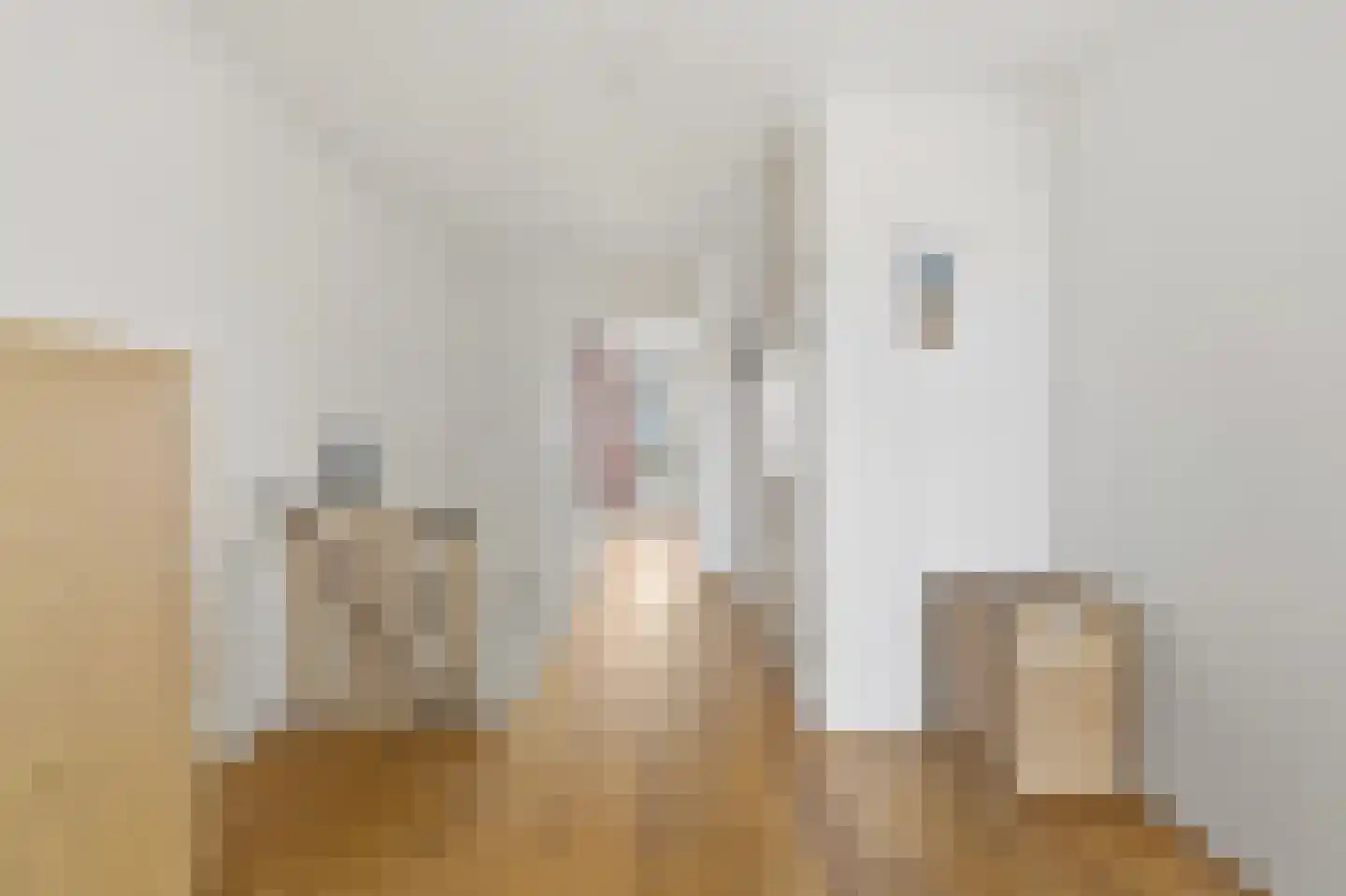 Zwolsestraat 404 Den Haag thumbnail 32