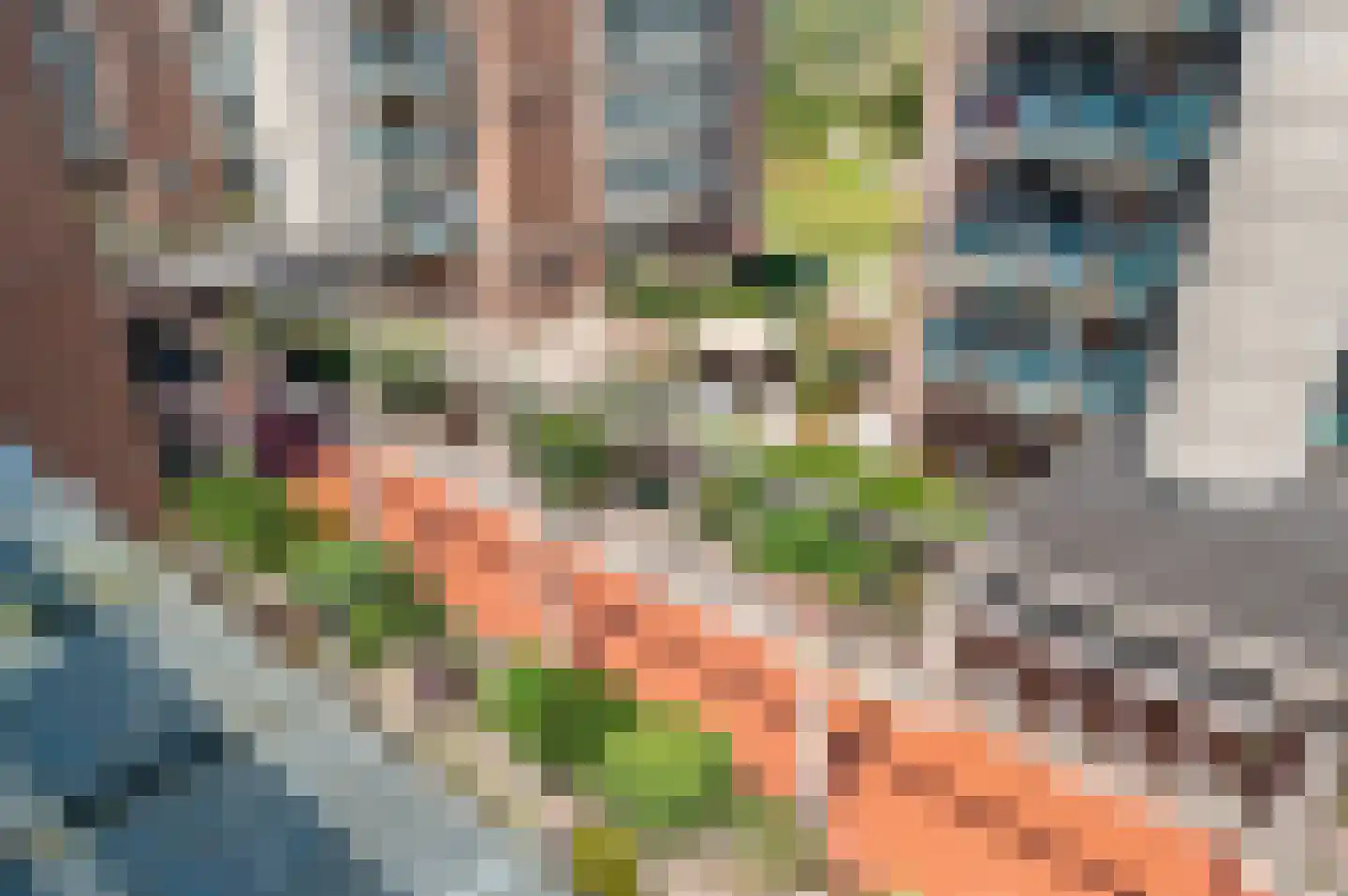 Zwolsestraat 404 Den Haag thumbnail 43