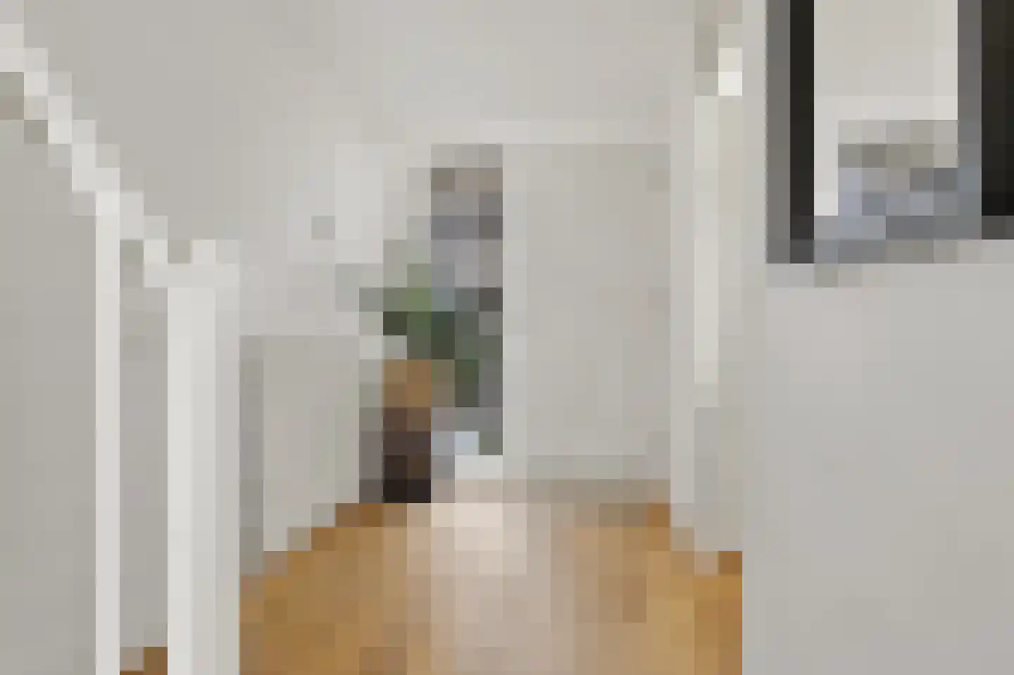Zwolsestraat 404 Den Haag thumbnail 9