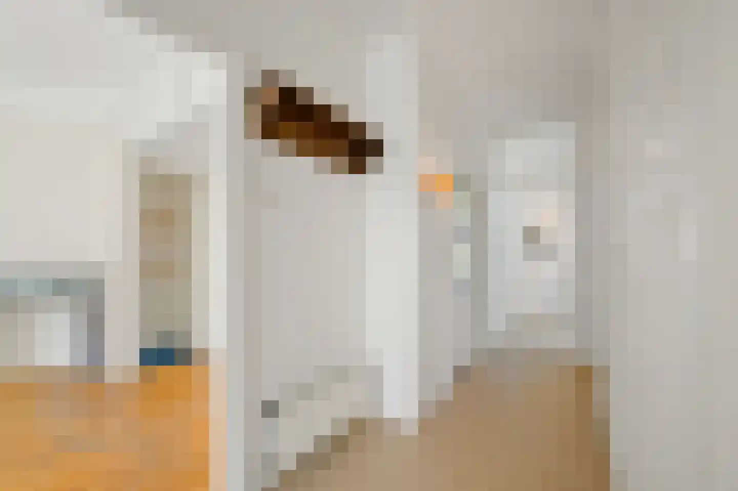 Zwolsestraat 411 Den Haag thumbnail 21