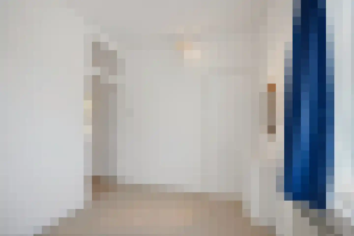 Zwolsestraat 411 Den Haag thumbnail 22