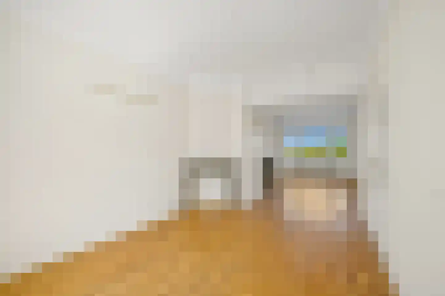 Zwolsestraat 411 Den Haag thumbnail 9