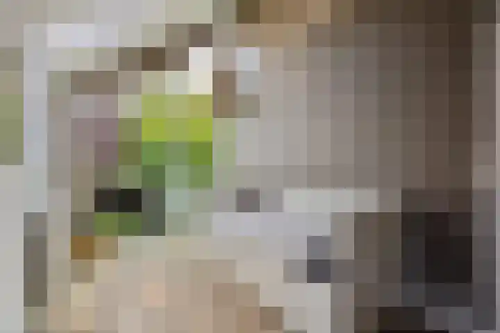 Zwolsestraat 60 Raalte thumbnail 21