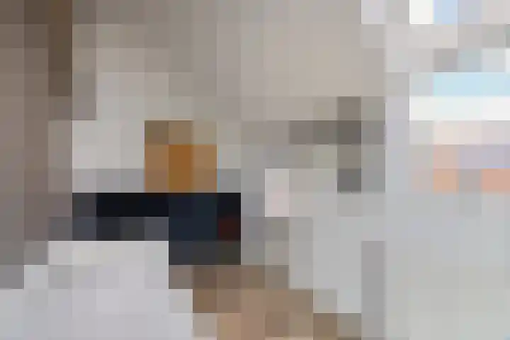 Zwolsestraat 60 Raalte thumbnail 22