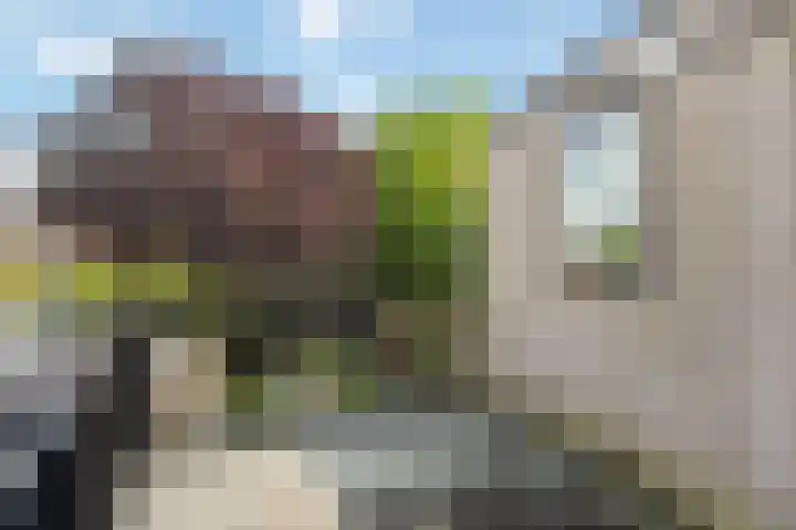 Zwolsestraat 60 Raalte thumbnail 24