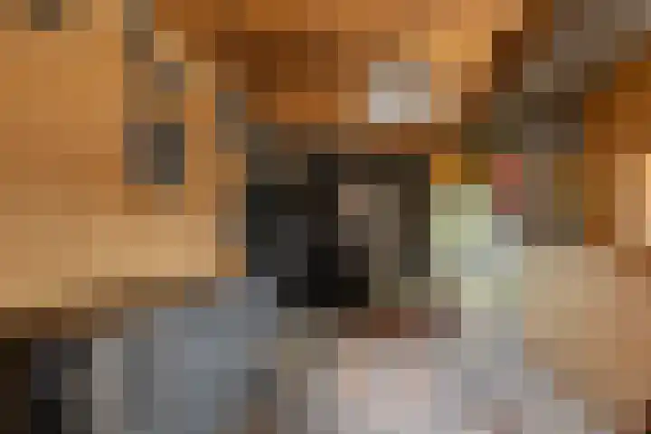 Zwolsestraat 60 Raalte thumbnail 31