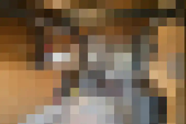 Zwolsestraat 60 Raalte thumbnail 32