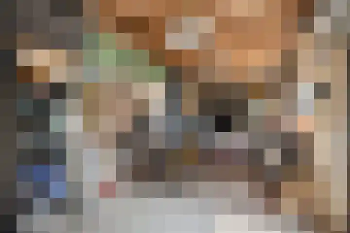 Zwolsestraat 60 Raalte thumbnail 33