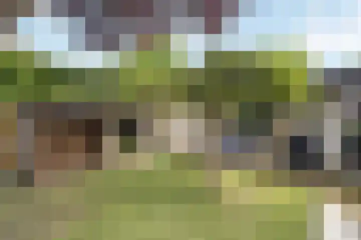 Zwolsestraat 60 Raalte thumbnail 36