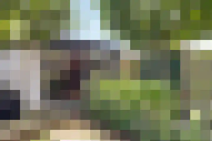 Zwolsestraat 60 Raalte thumbnail 37