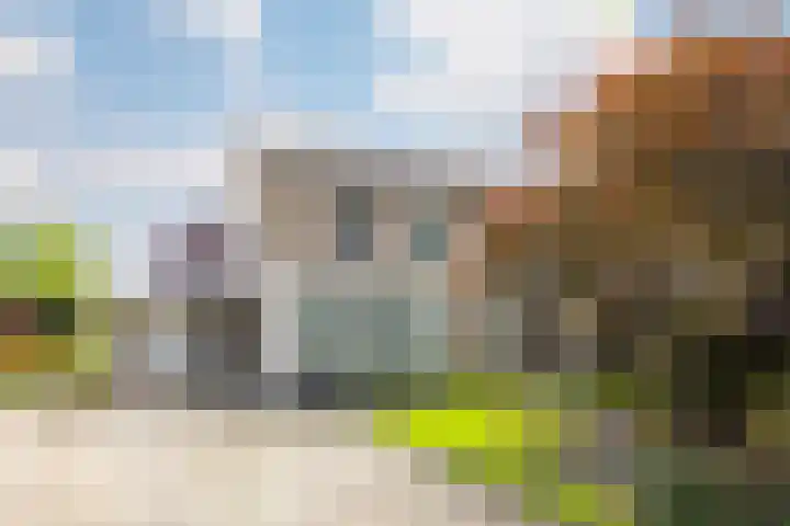 Zwolsestraat 60 Raalte thumbnail 4