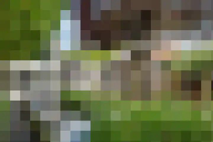 Zwolsestraat 60 Raalte thumbnail 41