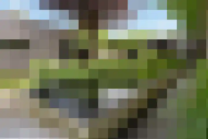 Zwolsestraat 60 Raalte thumbnail 42