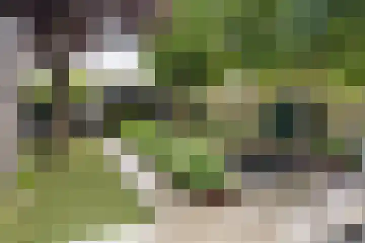 Zwolsestraat 60 Raalte thumbnail 43