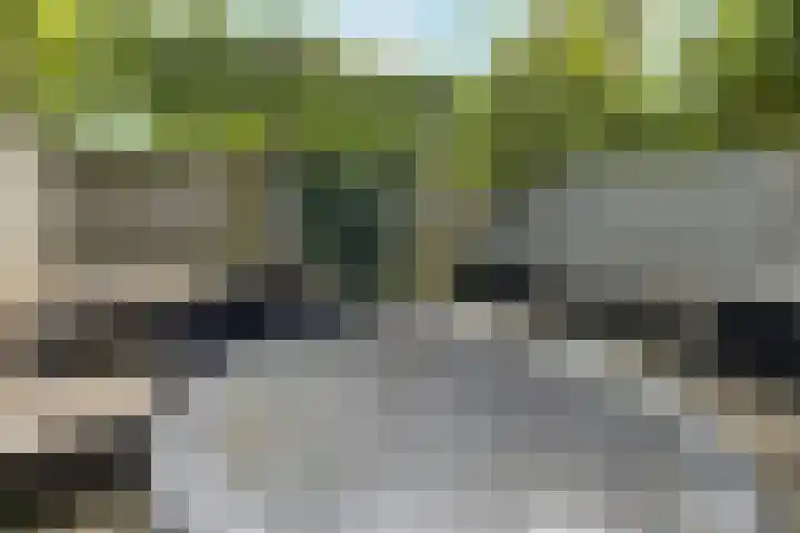 Zwolsestraat 60 Raalte thumbnail 45