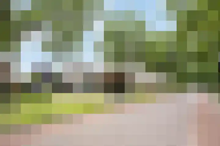 Zwolsestraat 60 Raalte thumbnail 46