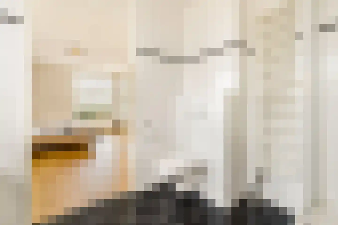 Zwolsestraat 7 F Den Haag thumbnail 38