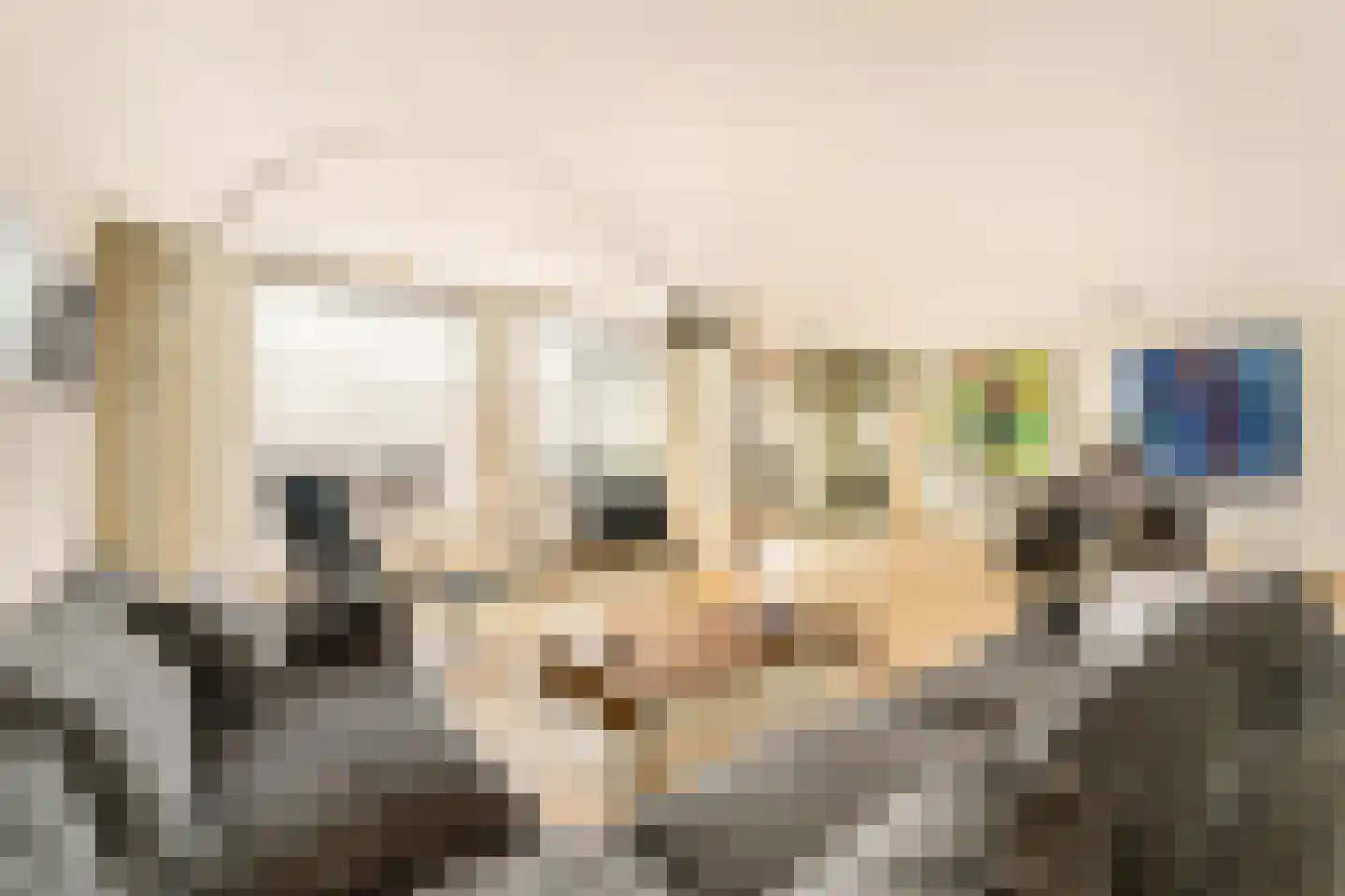 Zwolsestraat 7 F Den Haag thumbnail 4