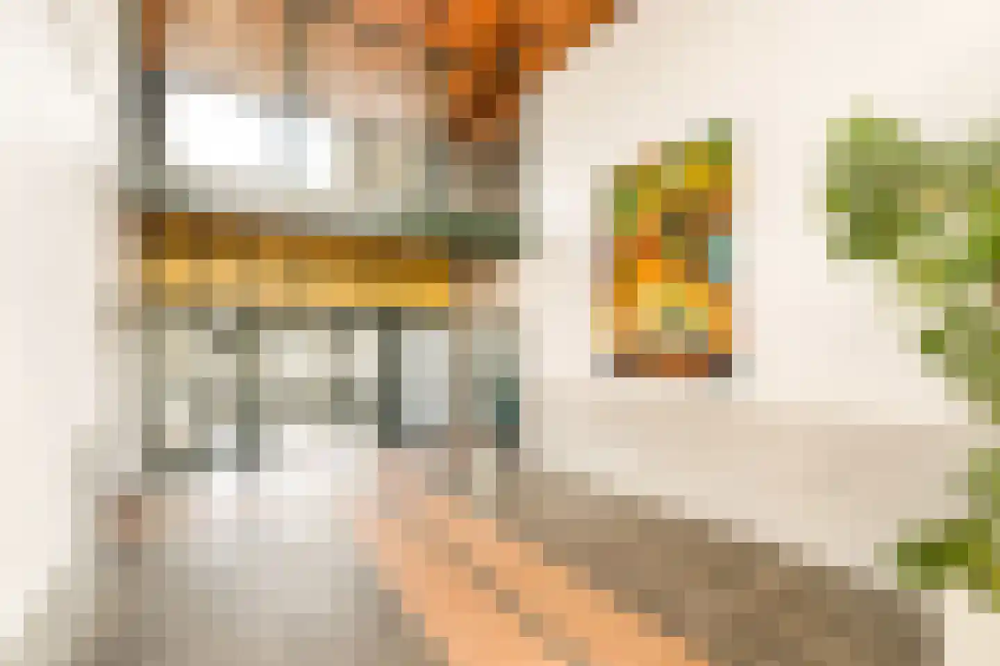 Zwolsestraat 7 F Den Haag thumbnail 5