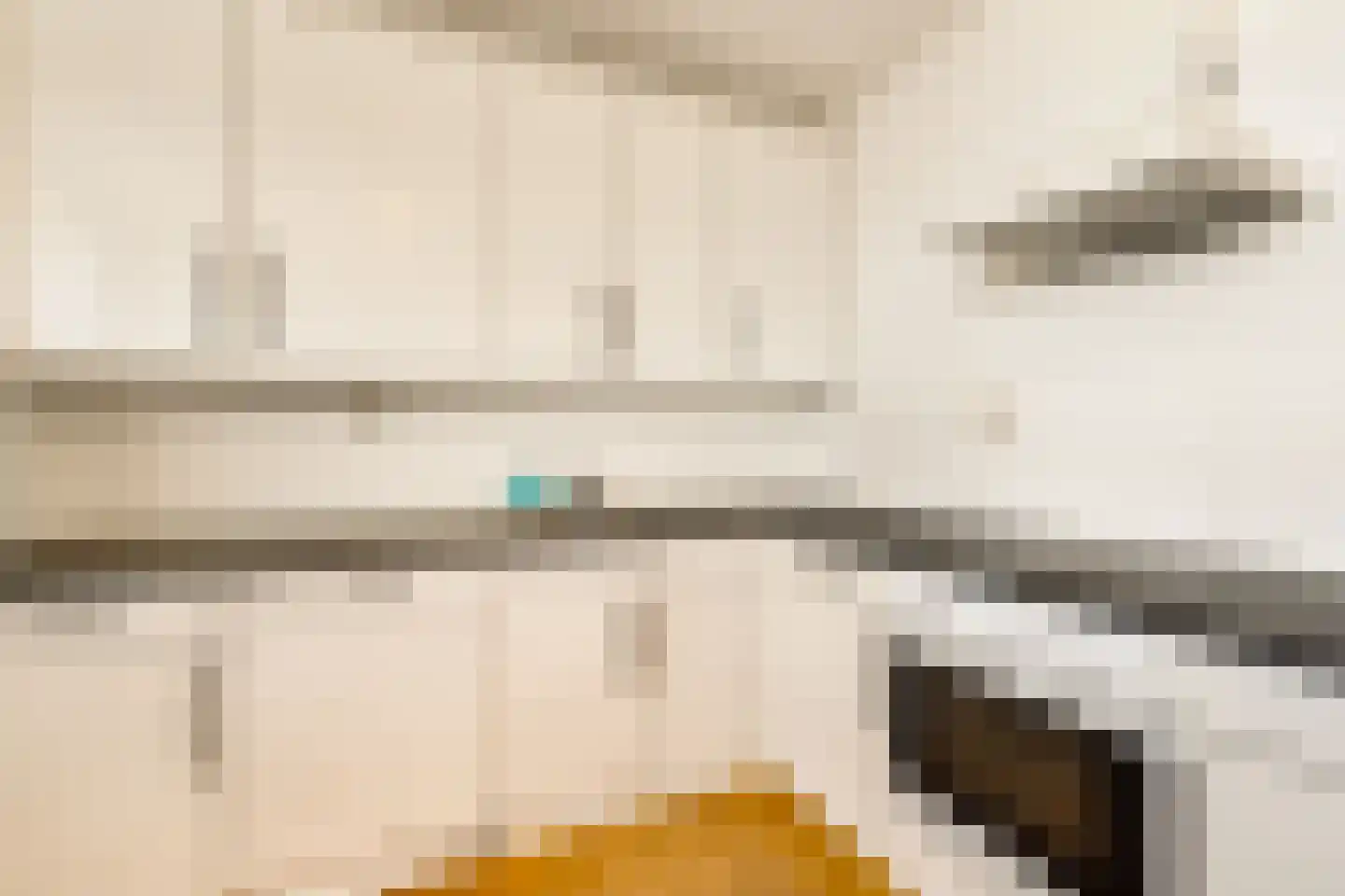 Zwolsestraat 7 H Den Haag thumbnail 26