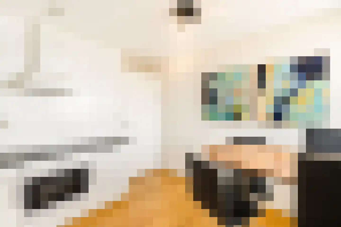 Zwolsestraat 7 H Den Haag thumbnail 27