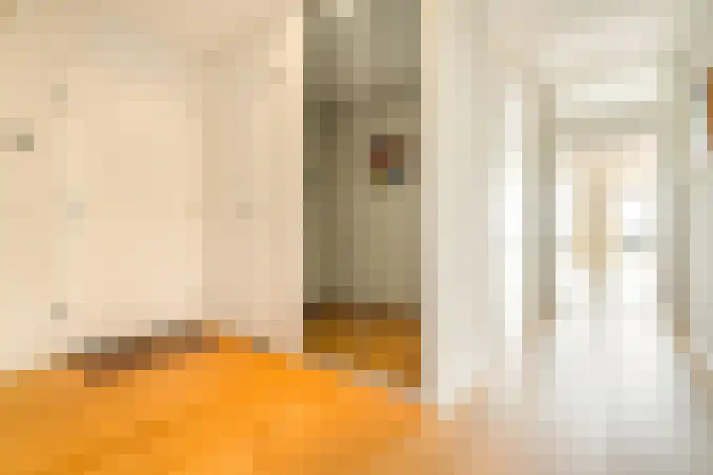 Zwolsestraat 7 H Den Haag thumbnail 9