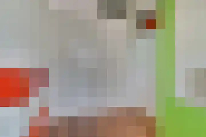 Zwolseveste 1 Nieuwegein thumbnail 10