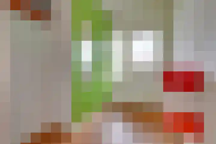 Zwolseveste 1 Nieuwegein thumbnail 11