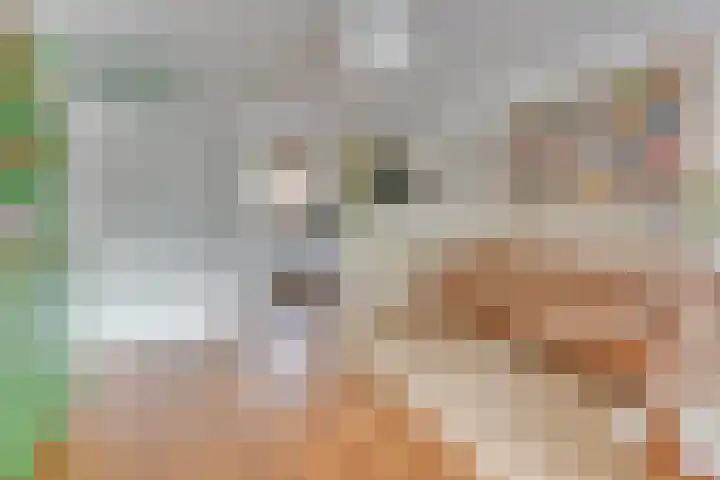 Zwolseveste 1 Nieuwegein thumbnail 16