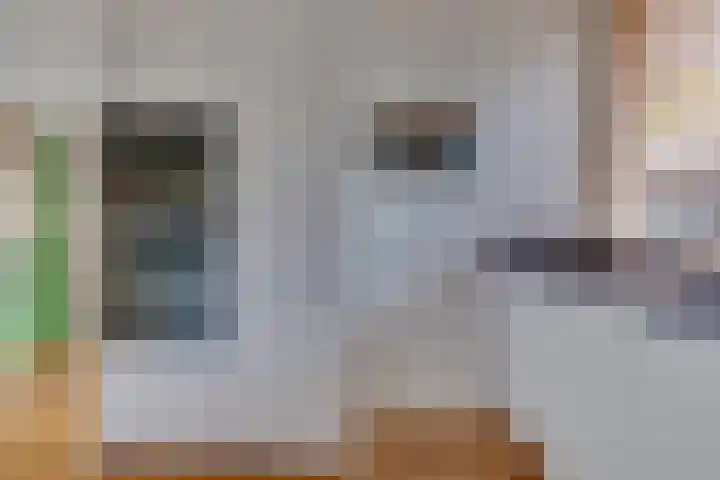 Zwolseveste 1 Nieuwegein thumbnail 19