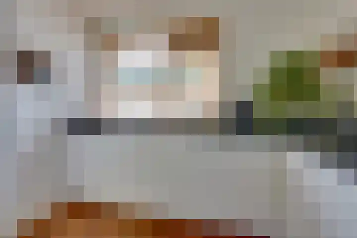 Zwolseveste 1 Nieuwegein thumbnail 20