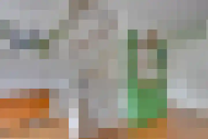Zwolseveste 1 Nieuwegein thumbnail 32