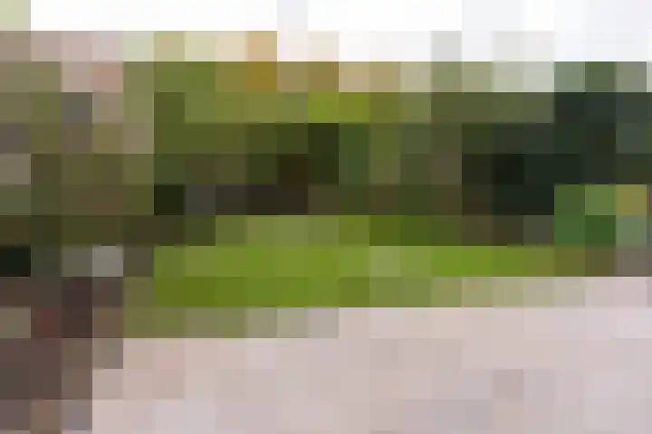 Zwolseveste 1 Nieuwegein thumbnail 4