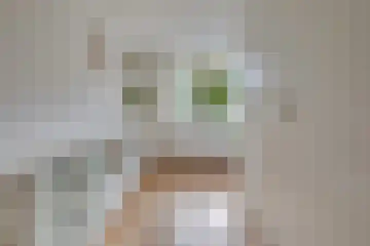 Zwolseveste 1 Nieuwegein thumbnail 40
