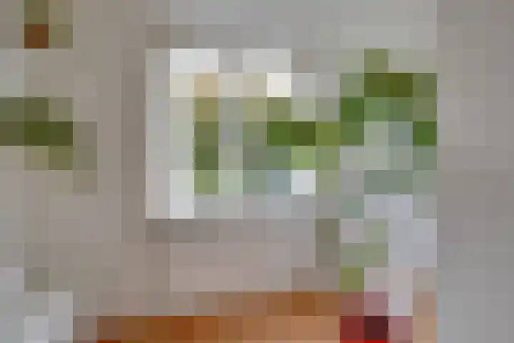 Zwolseveste 1 Nieuwegein thumbnail 41