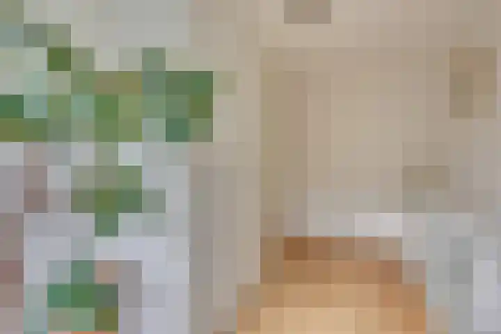 Zwolseveste 1 Nieuwegein thumbnail 42