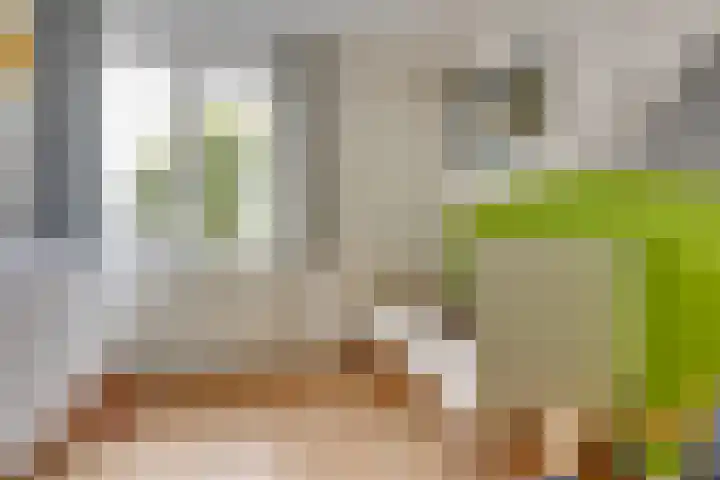Zwolseveste 1 Nieuwegein thumbnail 43
