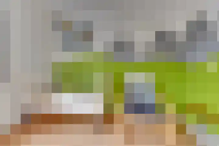 Zwolseveste 1 Nieuwegein thumbnail 44