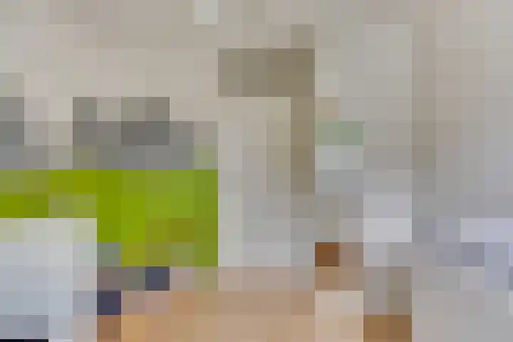 Zwolseveste 1 Nieuwegein thumbnail 45