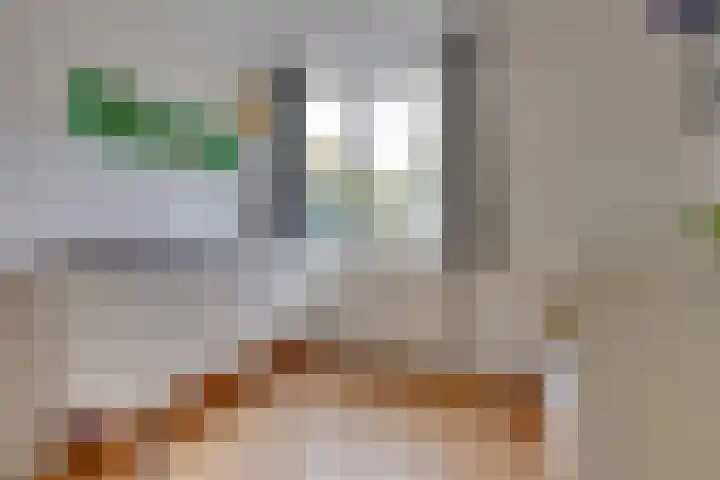 Zwolseveste 1 Nieuwegein thumbnail 46