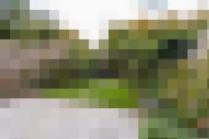 Zwolseveste 1 Nieuwegein thumbnail 58