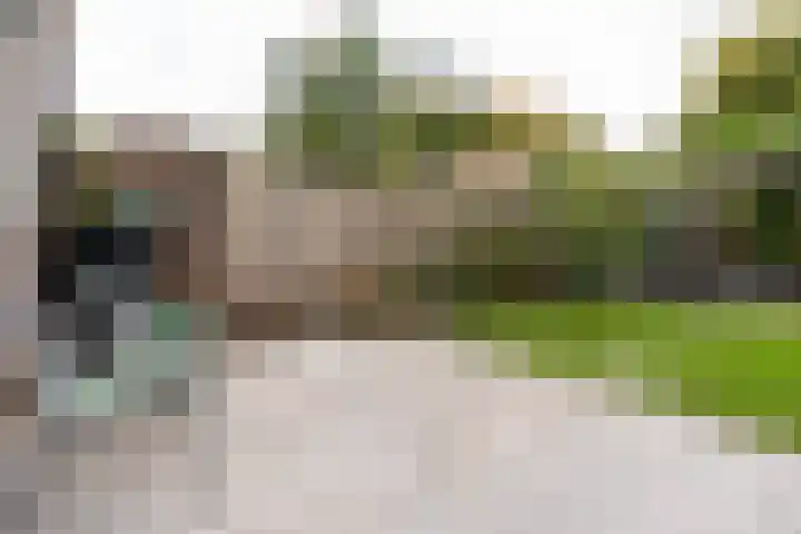 Zwolseveste 1 Nieuwegein thumbnail 59