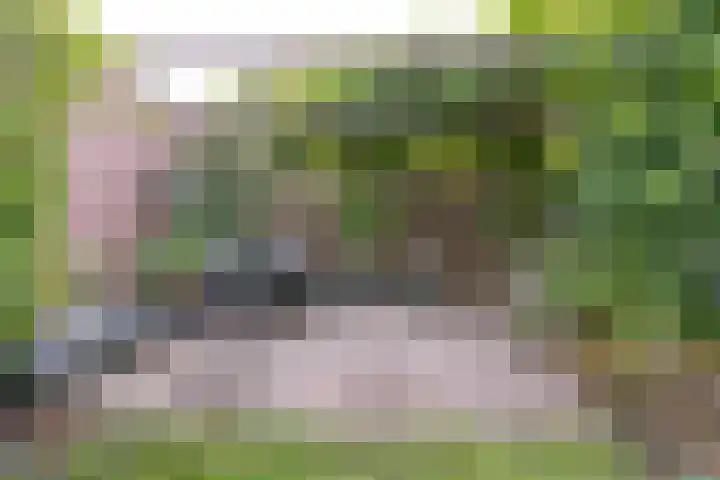 Zwolseveste 1 Nieuwegein thumbnail 61